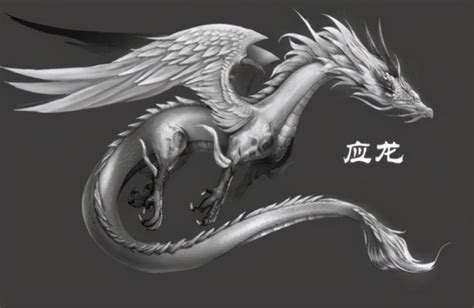 毛應龍|山海經記載中的那些龍——應龍